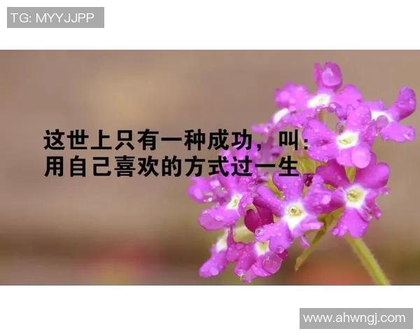 篮球巨星的智慧之言:激励你追逐梦想的经典名句分享